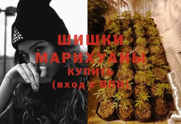 spice Балахна