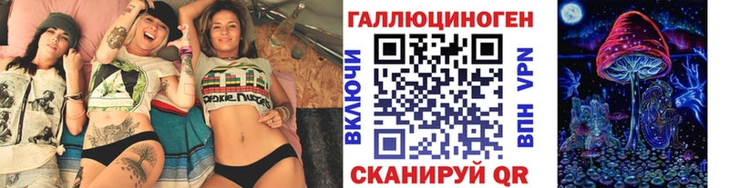 Галлюциногенные грибы Psilocybe  Власиха 